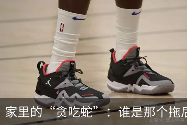 家里的“贪吃蛇”：谁是那个拖后腿的人？